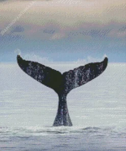 Whale Tail Diamond Painting