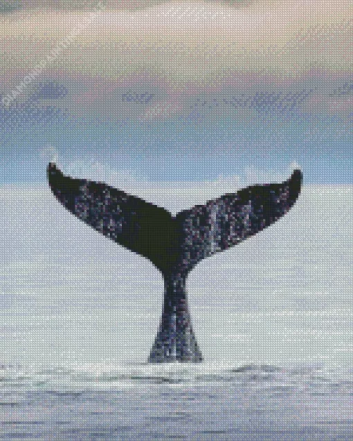 Whale Tail Diamond Painting