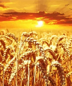 Wheat Field Diamond Painting