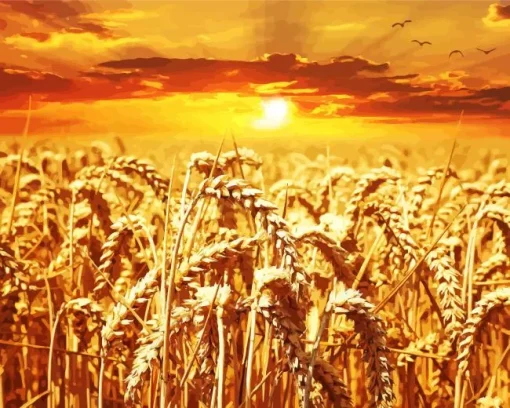 Wheat Field Diamond Painting