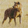 White Hyena Diamond Painting
