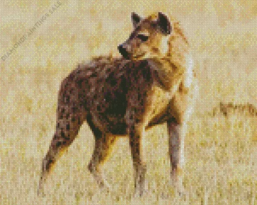 White Hyena Diamond Painting