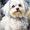 White Maltese Diamond Painting