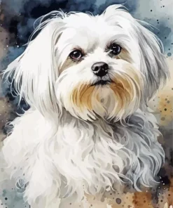 White Maltese Diamond Painting