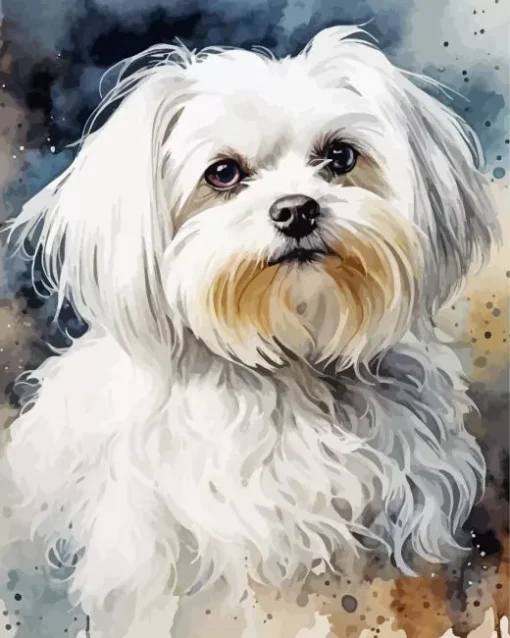 White Maltese Diamond Painting