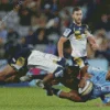 ACT Brumbies vs Waratahs Diamond Painting