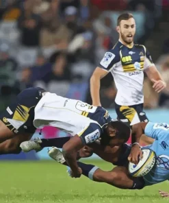 ACT Brumbies vs Waratahs Diamond Painting