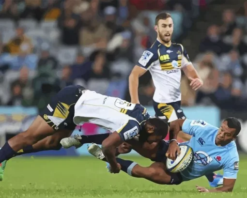 ACT Brumbies vs Waratahs Diamond Painting