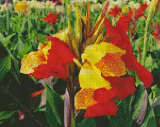 Canna Cleopatra Diamond Painting