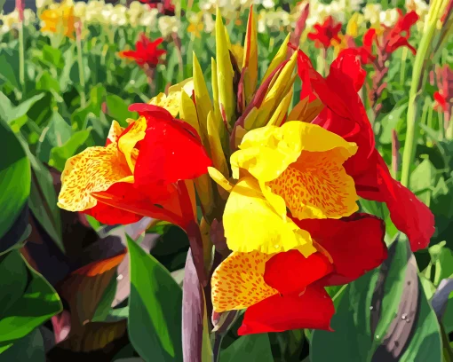 Canna Cleopatra Diamond Painting