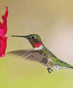 Hummingbird And Flowers Diamond Painting