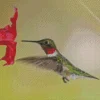 Hummingbird And Flowers Diamond Painting
