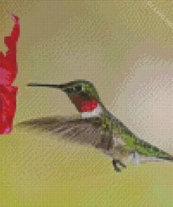 Hummingbird And Flowers Diamond Painting