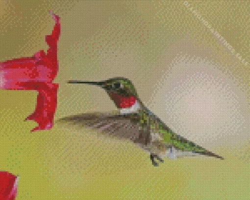 Hummingbird And Flowers Diamond Painting