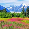 Juneau Landscape Diamond Painting