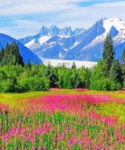 Juneau Landscape Diamond Painting