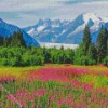 Juneau Landscape Diamond Painting