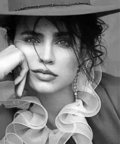 Monochrome Sofia Carson Diamond Painting