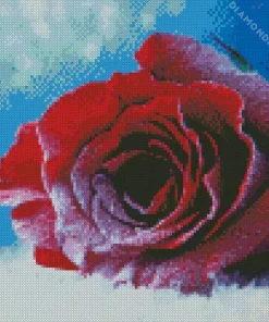 Red Rose In Snow Diamond Painting