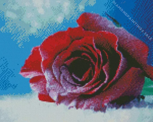 Red Rose In Snow Diamond Painting