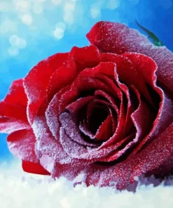 Red Rose In Snow Diamond Painting