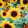 Sunflower with Butterflies Diamond Painting