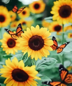 Sunflower with Butterflies Diamond Painting