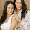 The Bella Twins Diamond Painting
