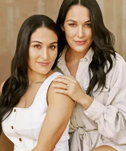 The Bella Twins Diamond Painting