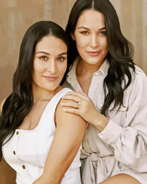 The Bella Twins Diamond Painting