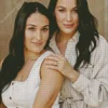 The Bella Twins Diamond Painting