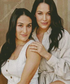 The Bella Twins Diamond Painting