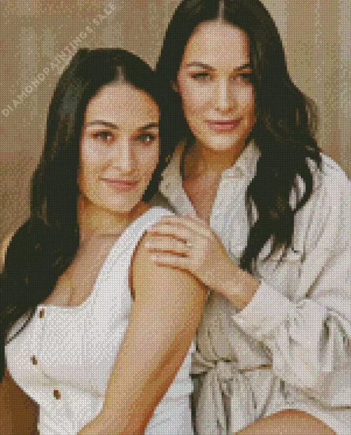 The Bella Twins Diamond Painting