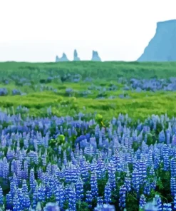 Blue Lupines Field Diamond Painting
