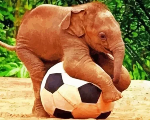 Elephant Animal Playing Sports Diamond Painting