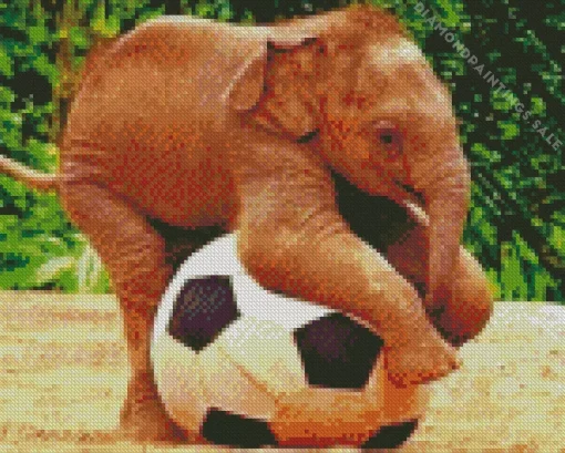 Elephant Animal Playing Sports Diamond Painting