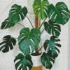 Green Leaves Swiss Cheese Plant Diamond Painting