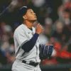 Jhony Brito Baseballer Diamond Painting