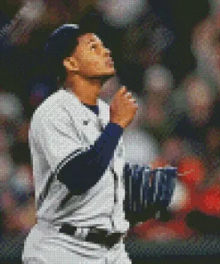 Jhony Brito Baseballer Diamond Painting