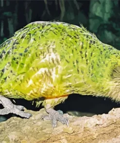 Kakapo On Tree Diamond Painting
