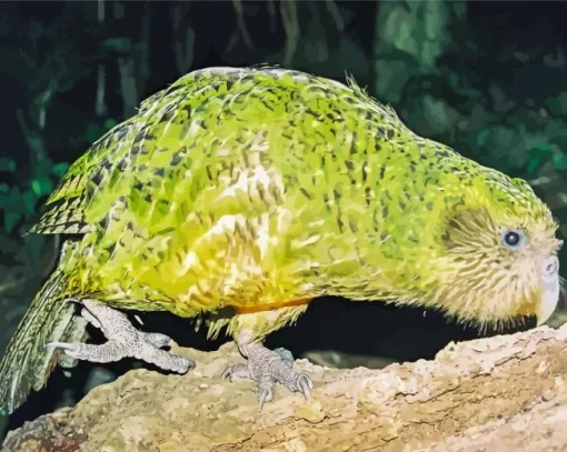 Kakapo On Tree Diamond Painting