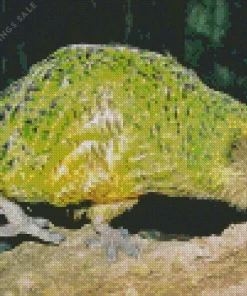 Kakapo On Tree Diamond Painting