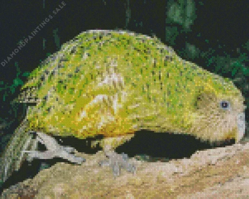 Kakapo On Tree Diamond Painting