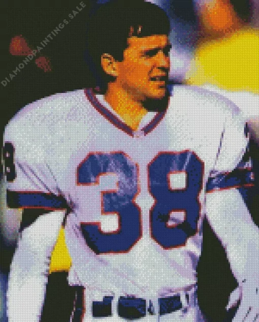 Mark Kelso Diamond Painting