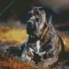 Perro Presa Canario Diamond Painting