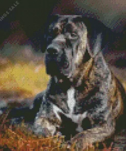 Perro Presa Canario Diamond Painting