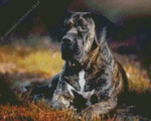 Perro Presa Canario Diamond Painting