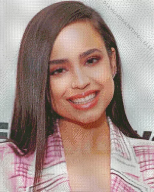 Sofia Carson Actress Diamond Painting