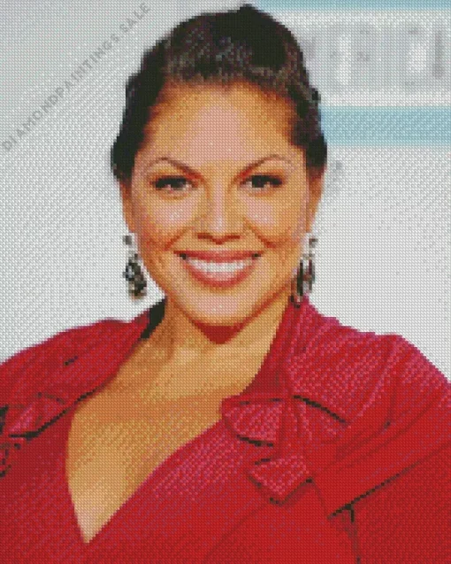 The Actress Sara Ramirez Diamond Painting
