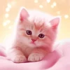 Adorable Pink Cat Diamond Painting